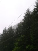 5.7.06 Wauna Point 031 